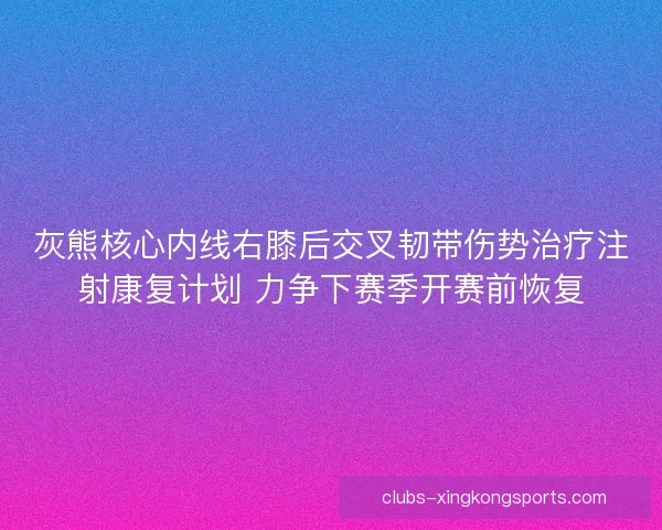 灰熊核心内线右膝后交叉韧带伤势治疗注射康复计划 力争下赛季开赛前恢复 灰熊核心内线右膝后交叉韧带伤势治疗注射康复计划 力争下赛季开赛前恢复