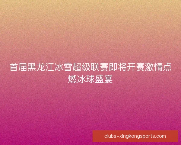 首届黑龙江冰雪超级联赛即将开赛激情点燃冰球盛宴